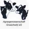 Agrargenossenschaft Gnaschwitz eG | unbehandelte Milch - frisch gemolken, Doberschau - Gaußig, Landwirtschaft