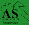 AS-Baumdienst | Baumfällungen Kamenz- Hoyerswerda - Wittichenau, Lohsa, Tree Cutting