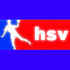 HSV Handball Sport Verein Merzig-Hilbringen e.V., Merzig, Verein