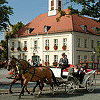 Reiturlaub in der Uckermark, Angermünde, Pension