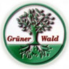 Restaurant & Pension "Grüner Wald" Bernsdorf, Bernsdorf, Gastronomie