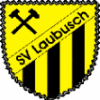 Sportverein Laubusch e.V., Laubusch, Forening