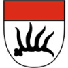 Stadt Göppingen, Göppingen, instytucje administracyjne