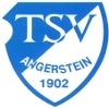 TSV Angerstein 1902 e.V., Nörten-Hardenberg, Forening