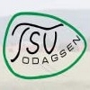 TSV Odagsen e.V., Einbeck, Forening