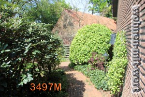 3497M-garten-01