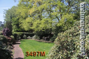 3497M-garten-02