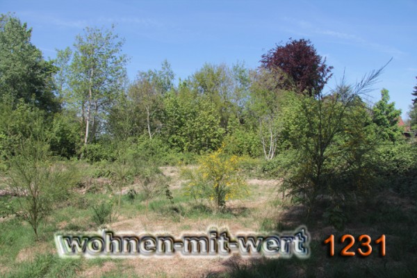 1231-grund-01