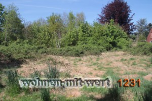 1231-grund-02