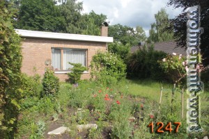 1247-garten-01