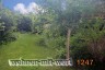 1247-garten-02