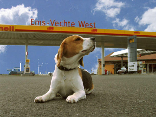 ems-vechte-west_hr