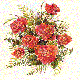 Blumen Poser, Guben, Bloemen