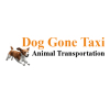 Dog Gone Taxi