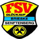 FSV Glückauf Brieske-Senftenberg e.V.