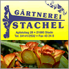 Gärtnerei Stachel