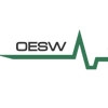 OESW Oberlausitzer Elektro-Schaltgeräte GmbH Weißenberg, Weißenberg, Strømtavler og Relæer