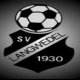 Sportverein Langwedel e.V., Dedelstorf, zwišzki i organizacje