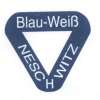 SV Blau - Weiß Neschwitz e.V., Bautzen, Verein