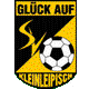 SV "Glückauf" Kleinleipisch e.V., Lauchhammer, Verein