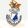 Wittichenauer Karnevalsverein e.V., Wittichenau, zwišzki i organizacje